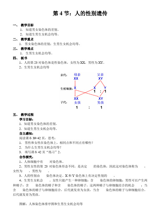 人教版八年级下册《人的性别遗传》教案