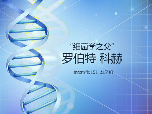 微生物ppt  罗伯特科赫 植物实验151韩子旭31115129