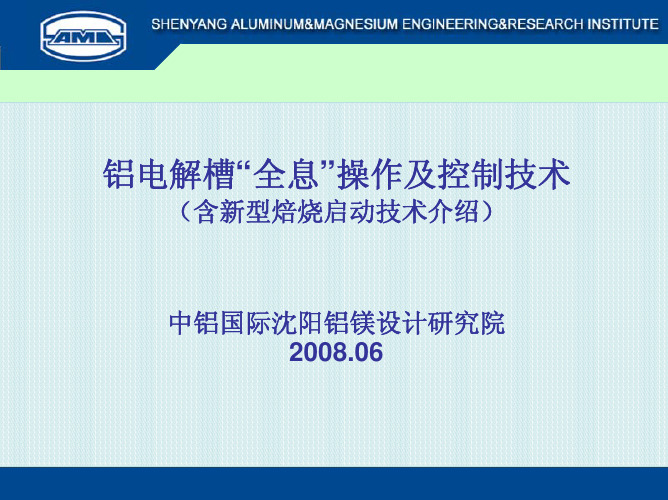 铝电解槽“全息”操作及控制技术与焙烧启动给华圣