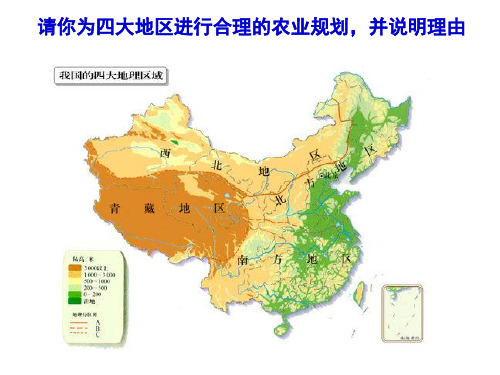 上海教育版地理七年级下册1.3《因地制宜发展农业》ppt课件1