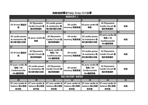 Insanity-63天健身计划-中文课表