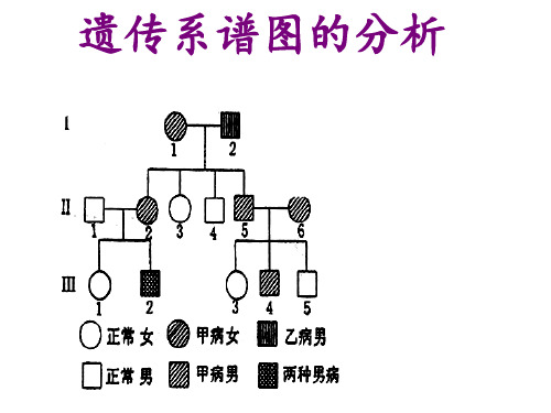 遗传系谱图的分析