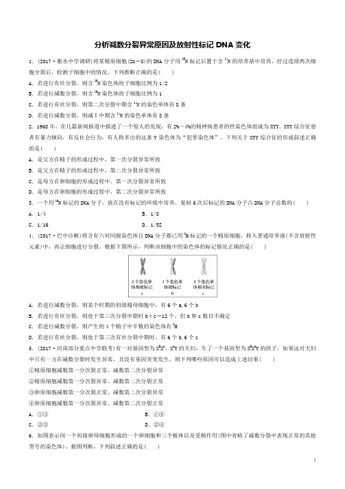 高考生物重难点突破强化练第30练分析减数分裂异常原因及放射性标记DNA变化