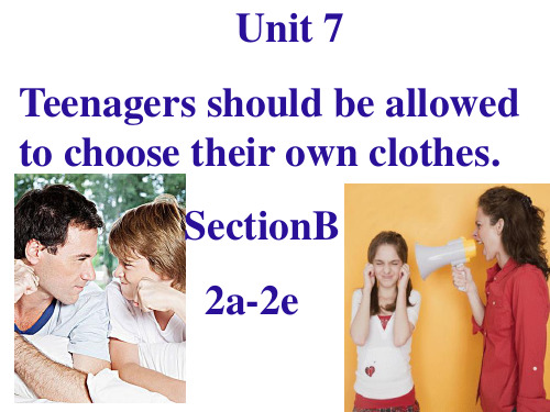 Unit7 Teenagers should be allowed to choose their own clothes Section B 2a-2e课件