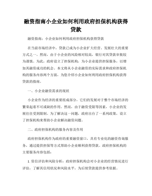 融资指南小企业如何利用政府担保机构获得贷款