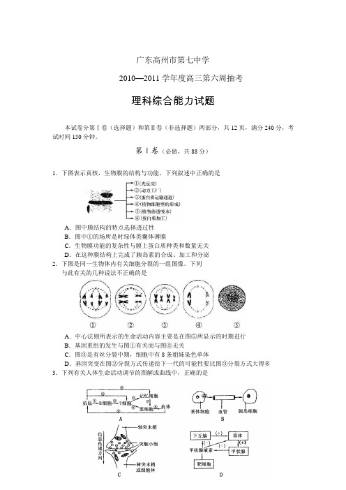 广东省高州七中10-11学年高三第六周抽考(理综)