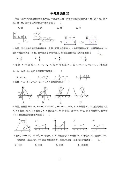 精品 九年级数学 中考集训题 25