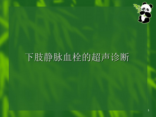 下肢静脉血栓的超声诊断ppt课件