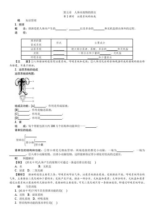 最新人教版初中七年级生物下册第五章同步练习题