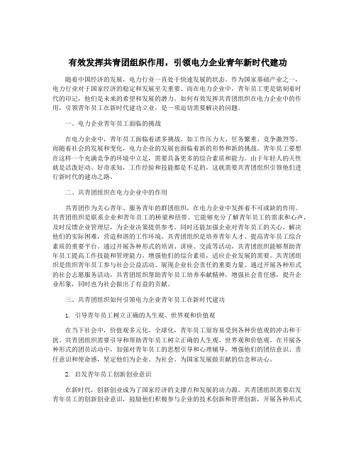 有效发挥共青团组织作用,引领电力企业青年新时代建功