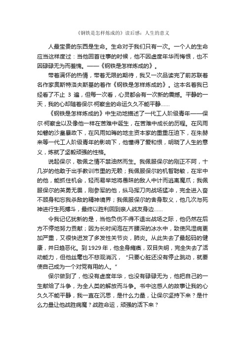 《钢铁是怎样炼成的》读后感：人生的意义_初中生读后感_