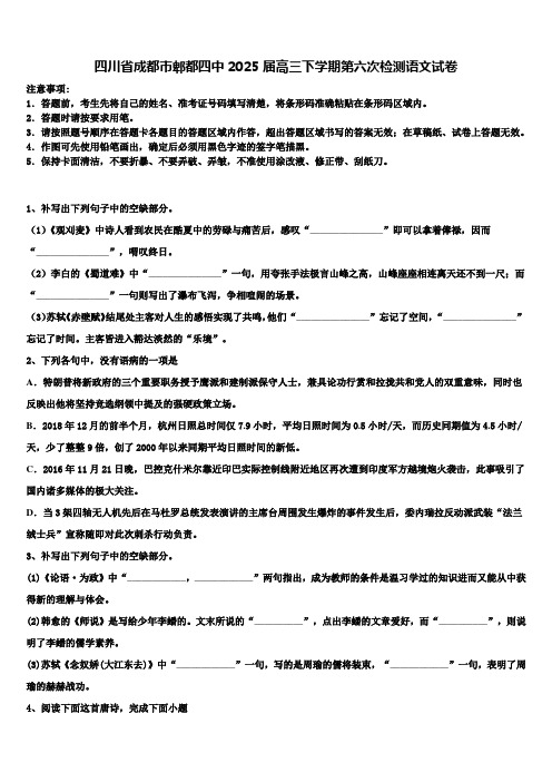 四川省成都市郫都四中2025届高三下学期第六次检测语文试卷含解析