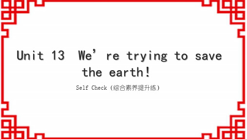 人教版九下英语Unit 13 Self Check(综合素养提升练) (4)