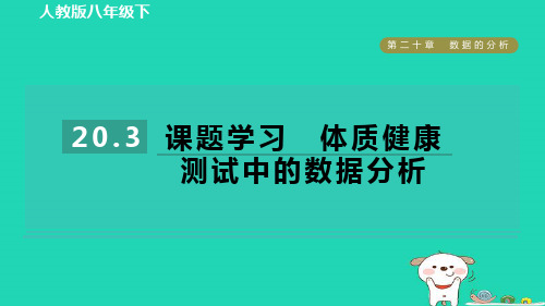 2024八年级数学下册第二十章数据的分析20.3课题学习体质降测试中的数据分析课件新版新人教版