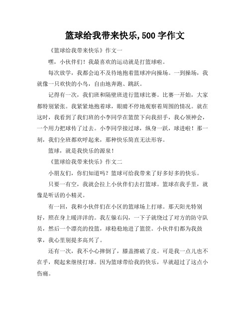 篮球给我带来快乐,500字作文