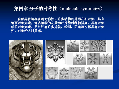 结构化学第四章1