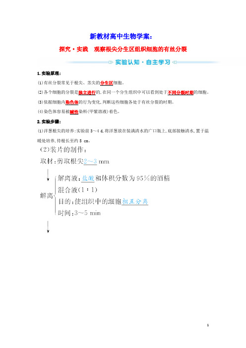 新教材高中生物探究实践观察根尖分生区组织细胞的有丝分裂学案新人教版必修1