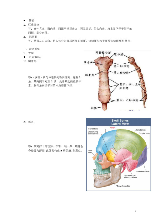 华中科技大学解剖学复习题