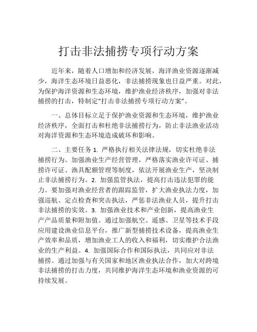 打击非法捕捞专项行动方案