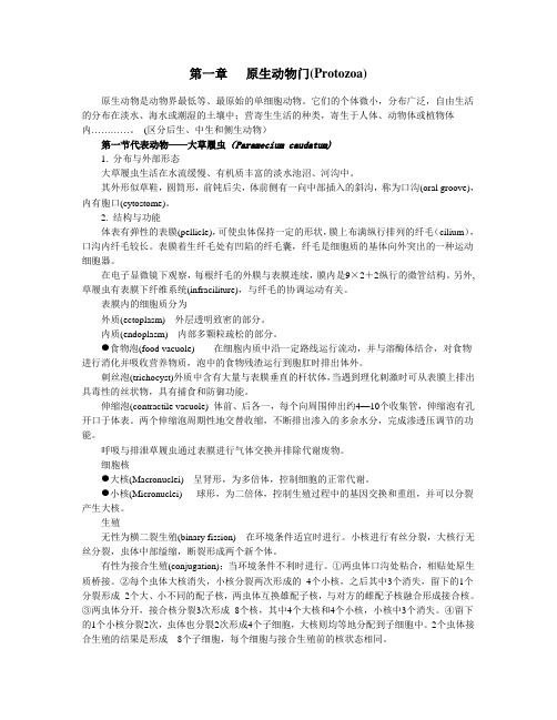 概述与原生动物门教案