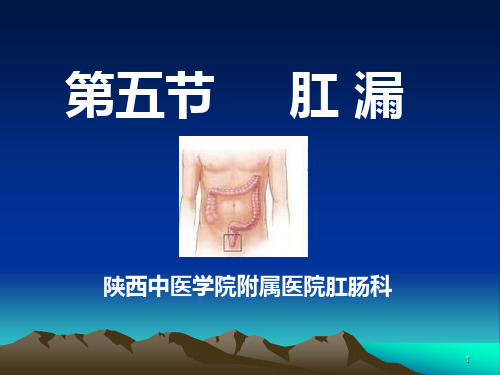 肛漏PPT课件