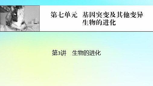 2024版高考生物一轮总复习第七单元基因突变及其他变异生物的进化第3讲生物的进化课件