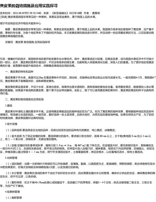 黄皮果的栽培措施及应用实践探寻