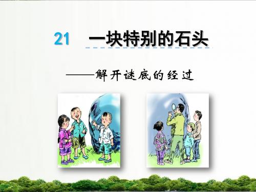 【精品】语文s版四年级小学语文上册课件：21一块特别的石头