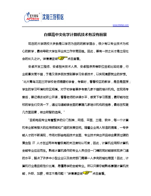 鞍山高中文化学计算机技术有没有前景