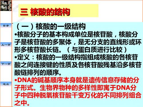 中国药科大学生物化学课件—核酸DNA的结构RNA的结构与功能