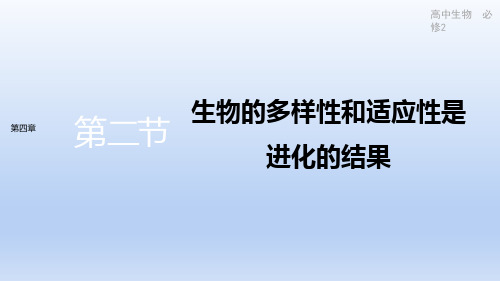 新教材-高中生物学-配套江苏版教材-第四章 第二节 生物的多样性和适应性是进化的结果