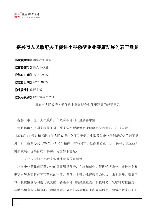 嘉兴市人民政府关于促进小型微型企业健康发展的若干意见