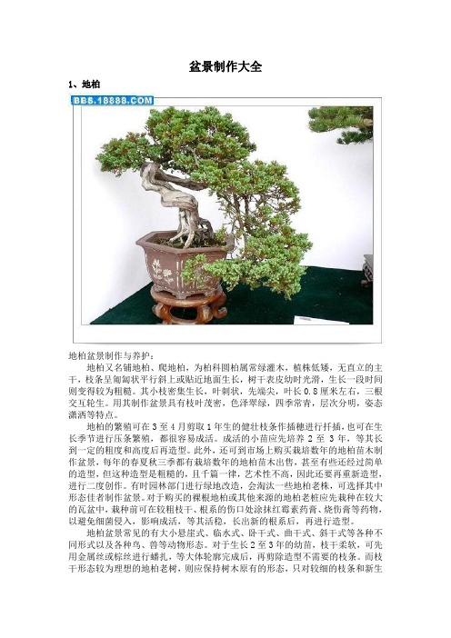 盆景技术大全