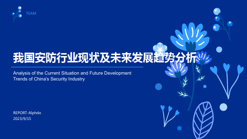 2023年我国安防行业现状分析：多元化发展 运营服务将成突破口报告模板