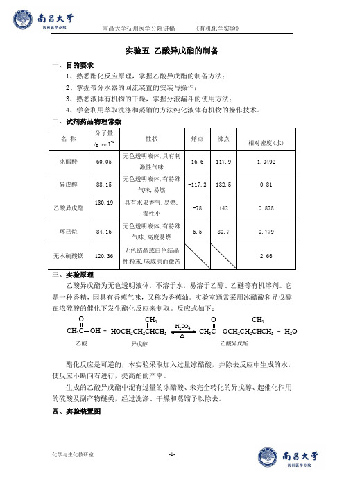 讲稿5 乙酸异戊酯的制备