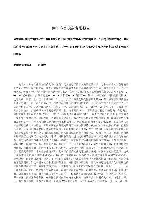 南阳方言现象专题报告