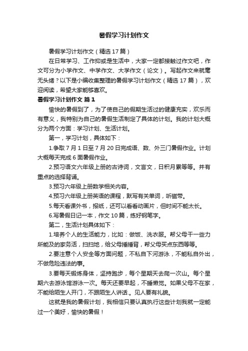 暑假学习计划作文（精选17篇）