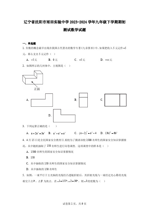 辽宁省沈阳市雨田实验中学2023-2024学年九年级下学期期初测试数学试题