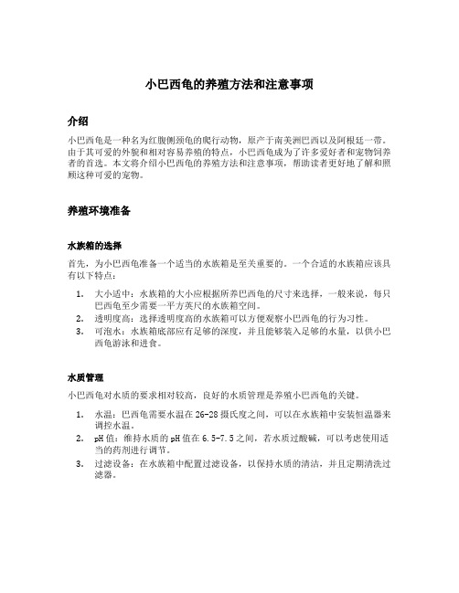 小巴西龟的养殖方法和注意事项