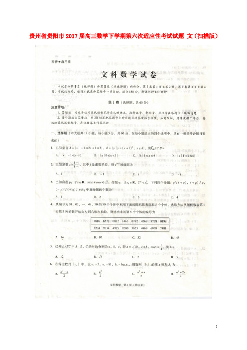 贵州省贵阳市高三数学下学期第六次适应性考试试题 文(扫描版)