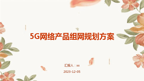 5G网络产品组网规划方案