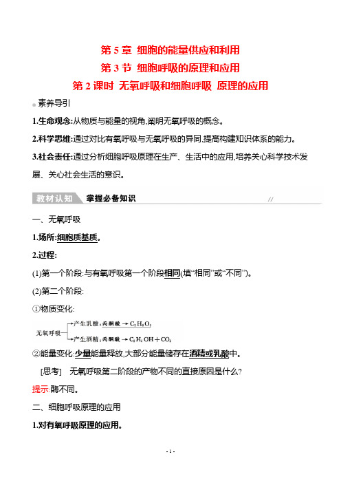 2022-2023学年  人教版 必修一 无氧呼吸和细胞呼吸原理的应用 教案