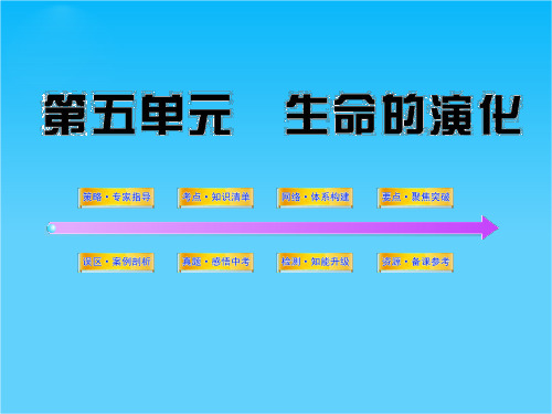 中考生物学第一轮复习资料 第五单元生命的演化课件 济南版