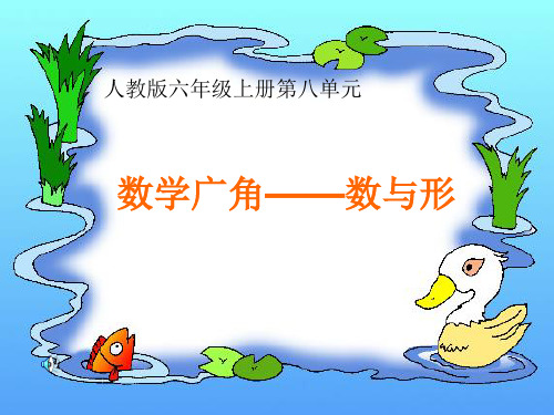 《数学广角——数与形》课件