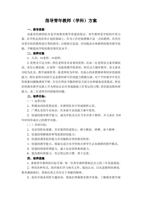 指导青年教师方案 学科