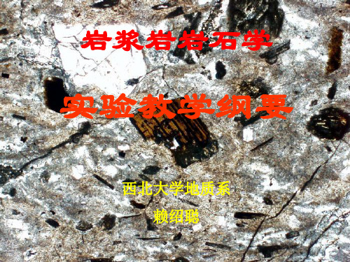 岩浆岩实验 六