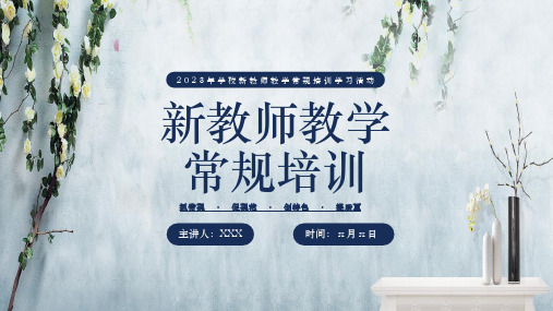 新教师教学常规培训交流