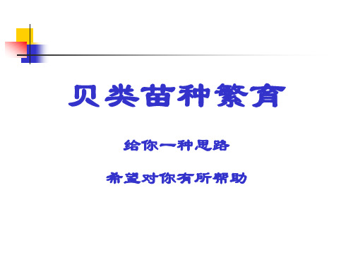 贝类苗种培育