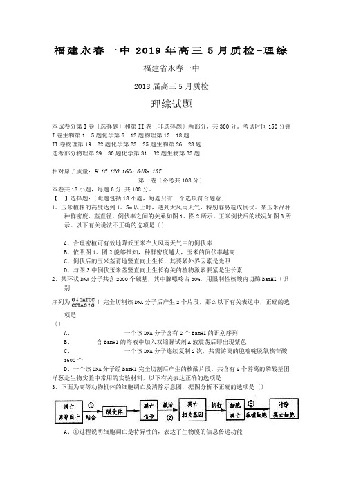 福建永春一中2019年高三5月质检-理综