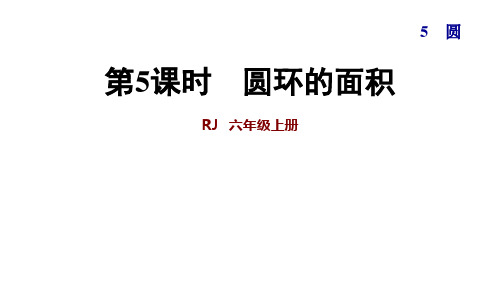 六年级上册数学课件第五单元 第5课时 圆环的面积|人教新课标(秋) (共20张PPT)